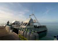 16-ocean-frontiers-cayman-dive-boats