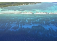 23-ocean-frontiers-cayman-dive-sites