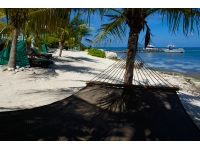 10-compass-point-cayman-beach-hammock-dockview